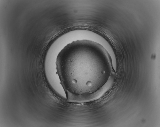 X0000099540411200806061459