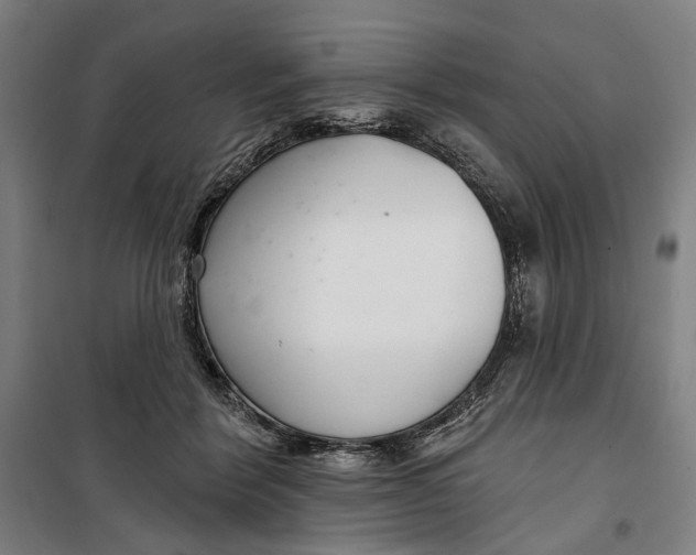 X0000099540412200806061459