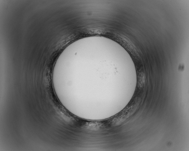 X0000099540414200806061459