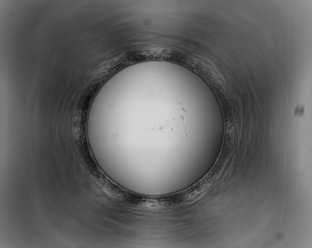 X0000099540416200806061459