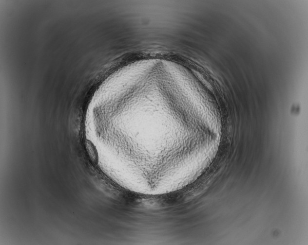 X0000099540417200806061458