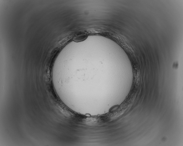 X0000099540418200806061458