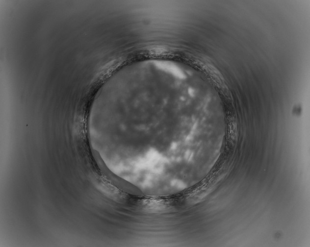 X0000099540419200806061458