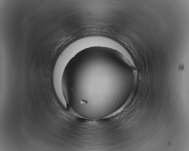 X0000099540423200806061458