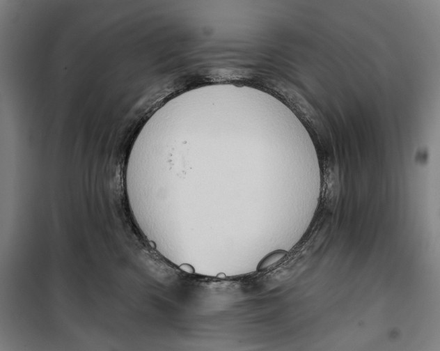 X0000099540426200806061458