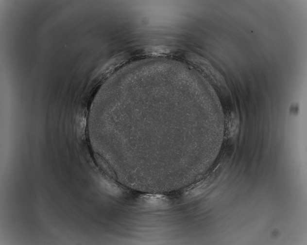 X0000099540427200806061458