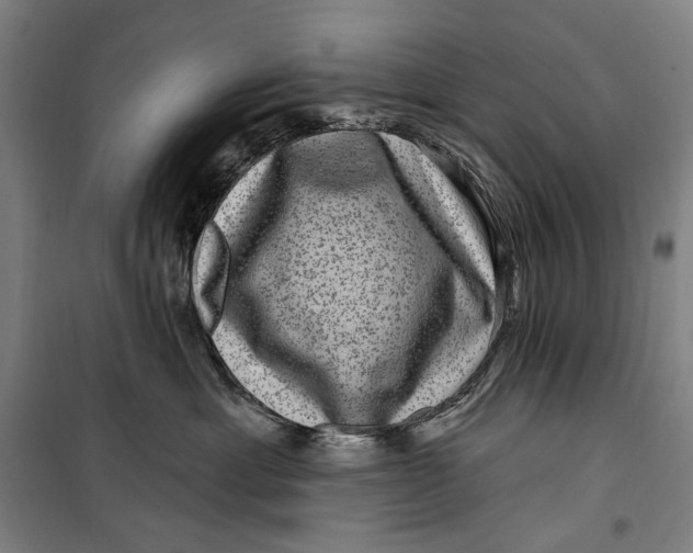 X0000099540429200806061458