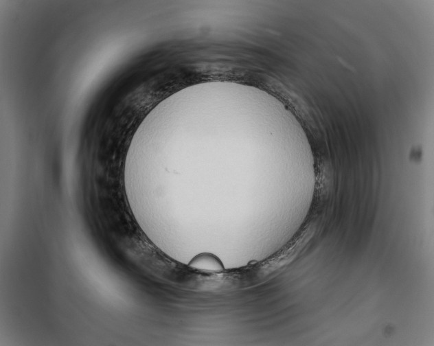 X0000099540430200806061458