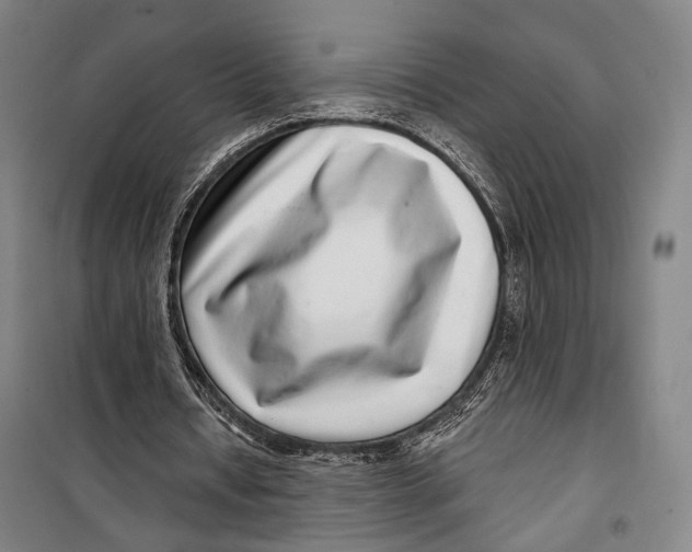 X0000099540434200806061458