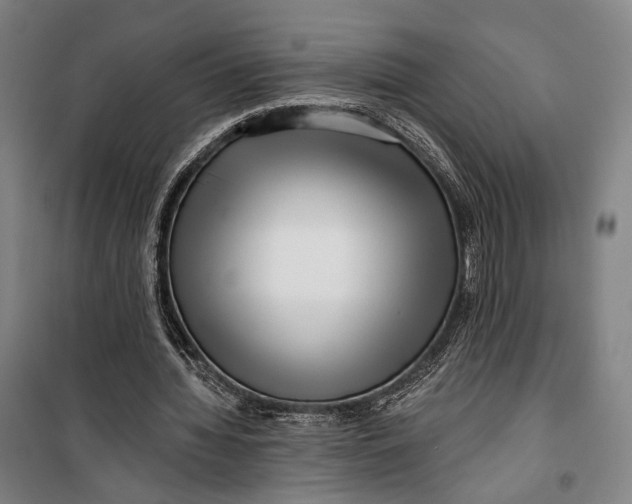 X0000099540436200806061458