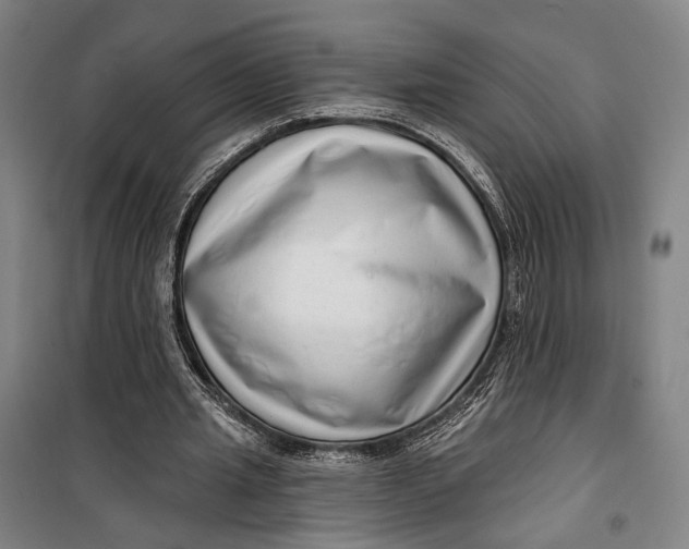 X0000099540437200806061458