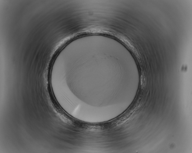 X0000099540438200806061458