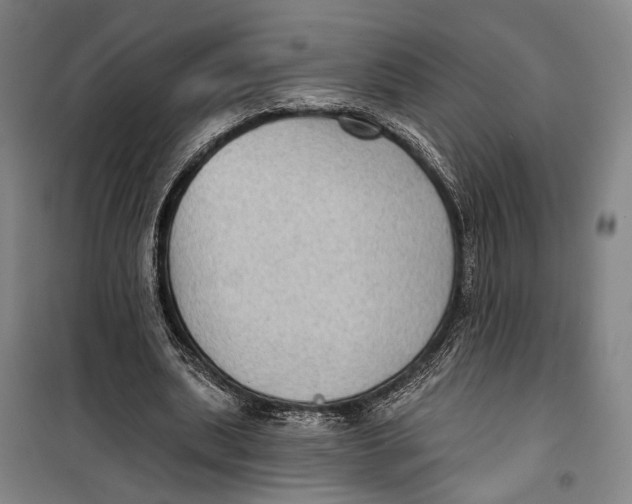 X0000099540439200806061458