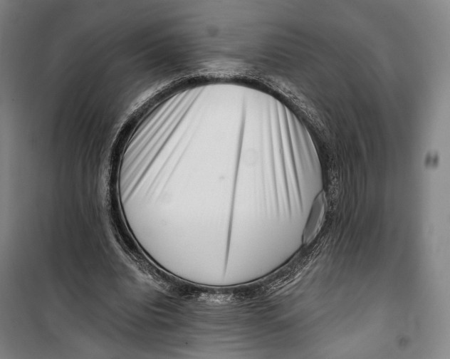 X0000099540440200806061458