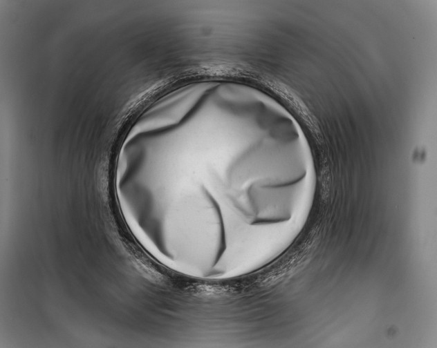 X0000099540442200806061458