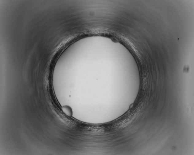 X0000099540443200806061458