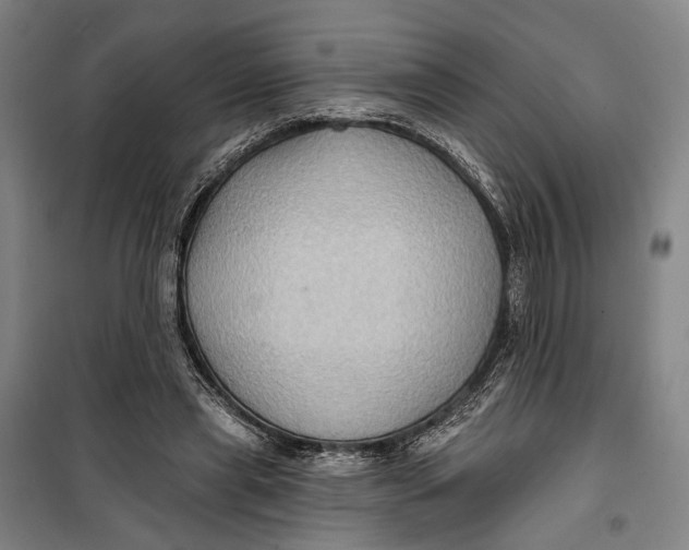 X0000099540445200806061458