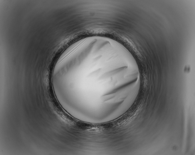 X0000099540447200806061458