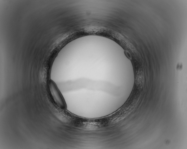 X0000099540448200806061458