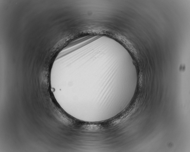 X0000099540449200806061458