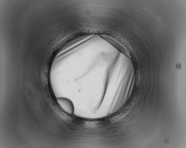 X0000099540450200806061458