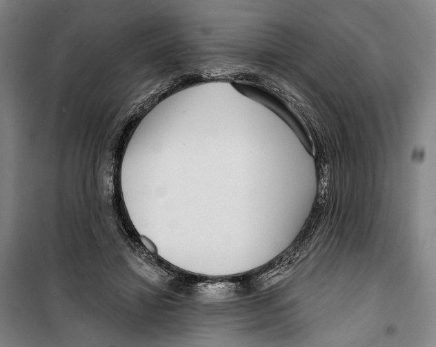 X0000099540452200806061458