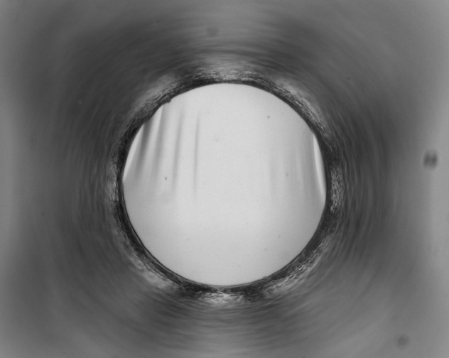 X0000099540453200806061458