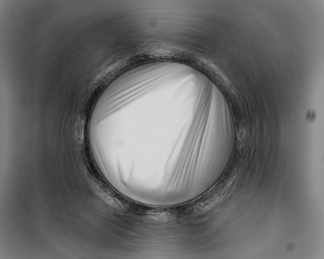 X0000099540454200806061458