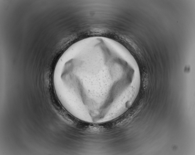 X0000099540455200806061458