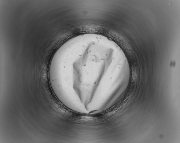 X0000099540457200806061458