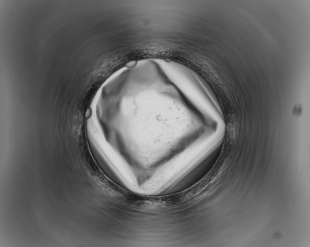 X0000099540458200806061458