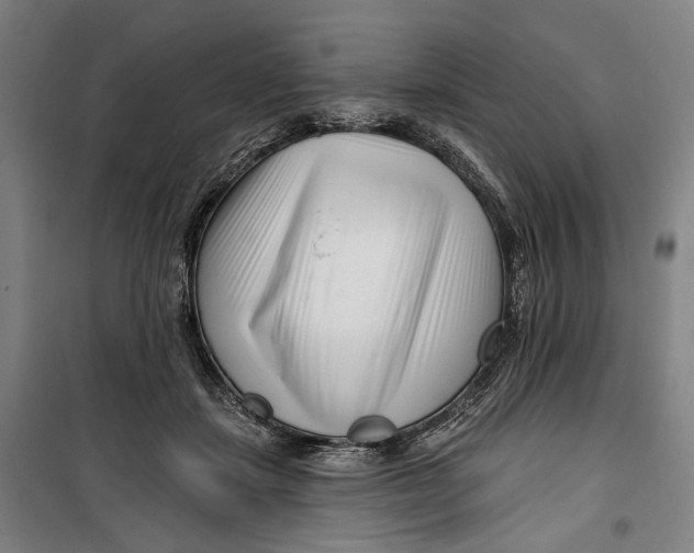 X0000099540459200806061458