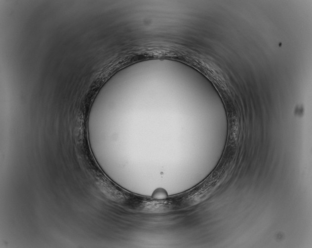 X0000099540461200806061458