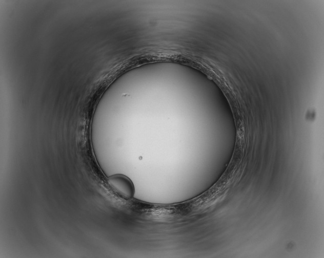 X0000099540462200806061458