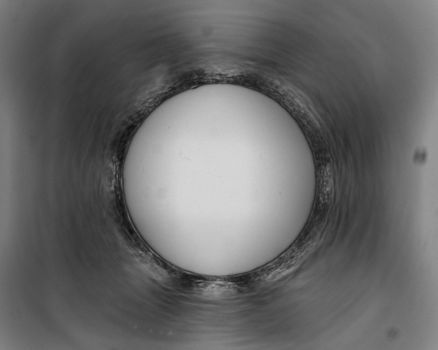 X0000099540463200806061458