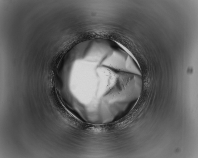 X0000099540464200806061458