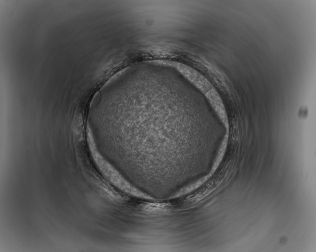 X0000099540465200806061458