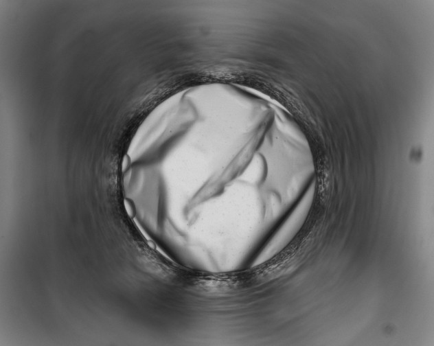 X0000099540466200806061458