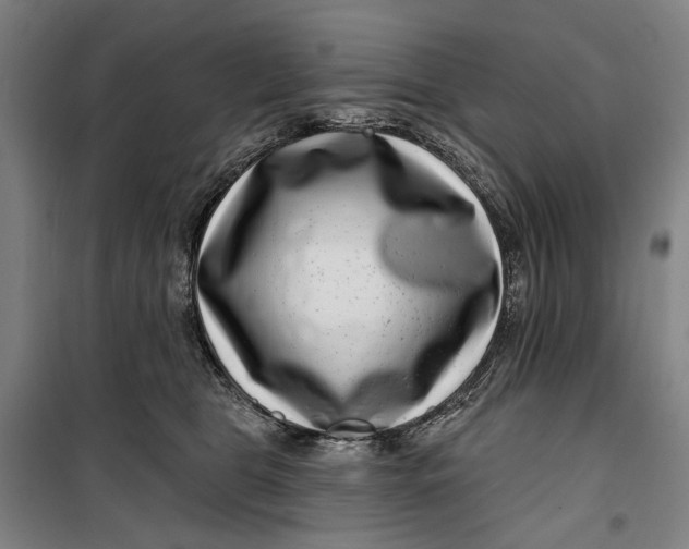 X0000099540469200806061458