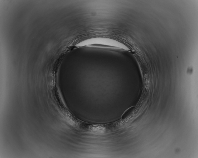 X0000099540471200806061458