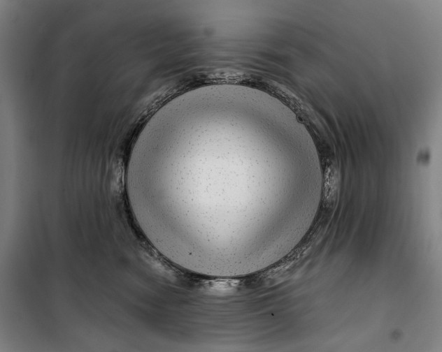 X0000099540474200806061458