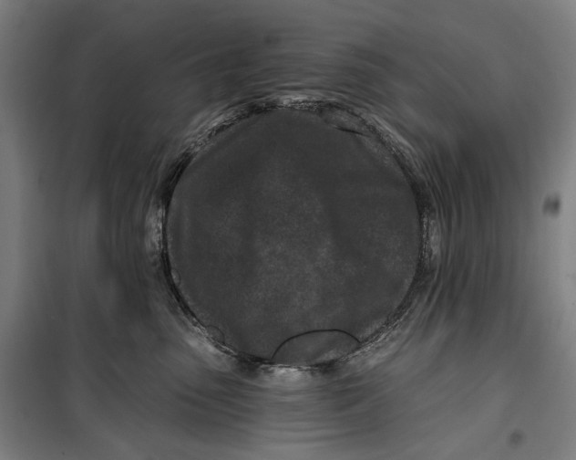 X0000099540475200806061458