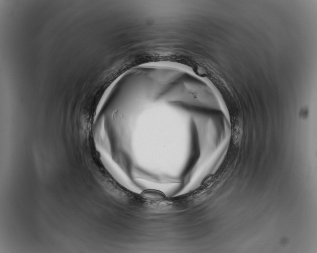 X0000099540476200806061458