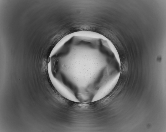 X0000099540478200806061458