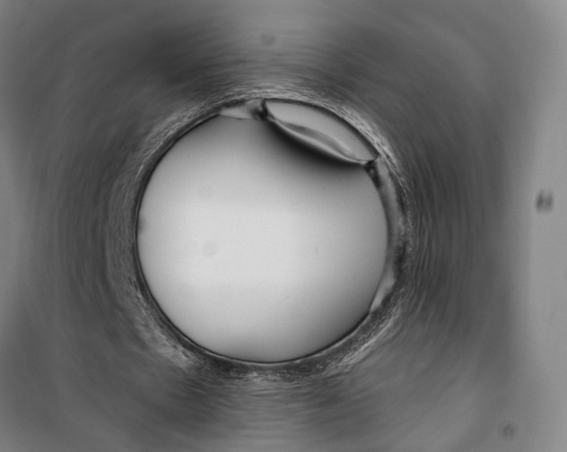 X0000099540481200806061458