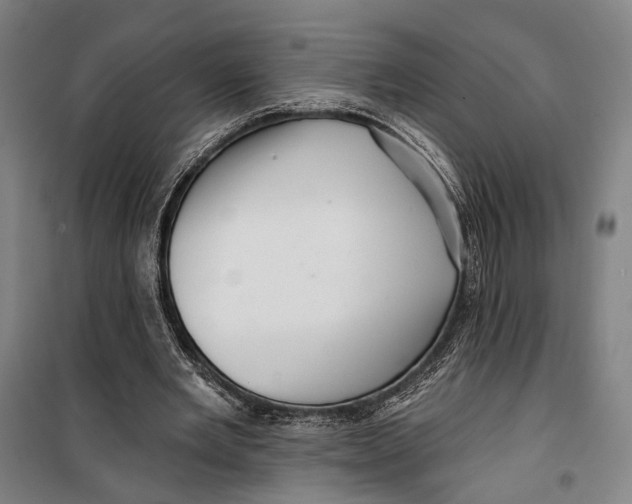 X0000099540485200806061458