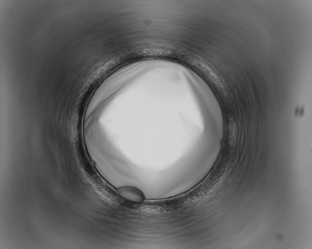 X0000099540490200806061457