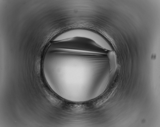 X0000099540493200806061457