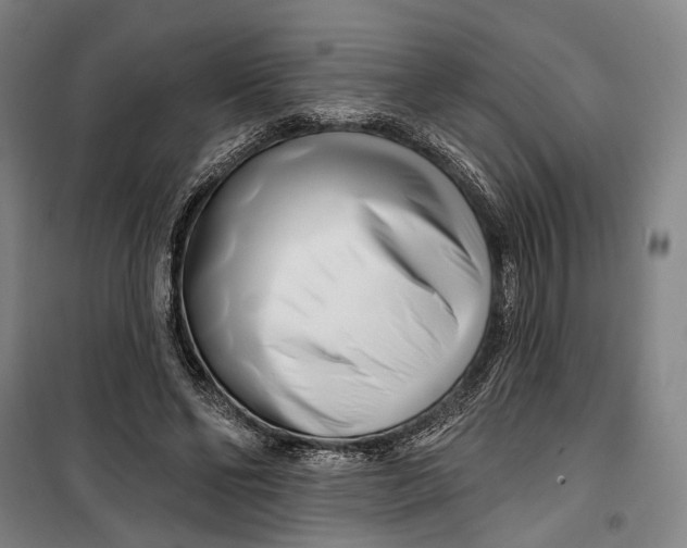 X0000099540494200806061457