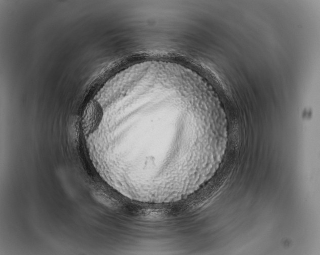 X0000099540495200806061457